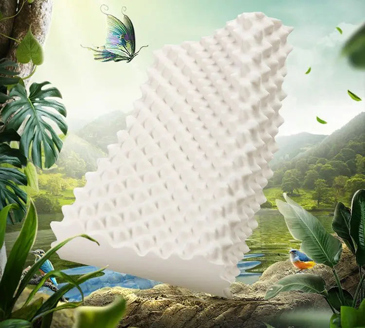 TAIHI Thailand Latex Pillow For Neck Pain Protect Vertebrae Health Care Orthopedic Massage Pillows For Sleeping For Bedroom Ergora