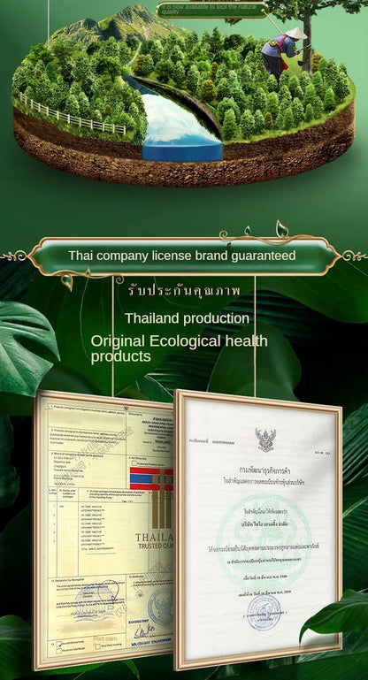 TAIHI Thailand Latex Pillow For Neck Pain Protect Vertebrae Health Care Orthopedic Massage Pillows For Sleeping For Bedroom Ergora