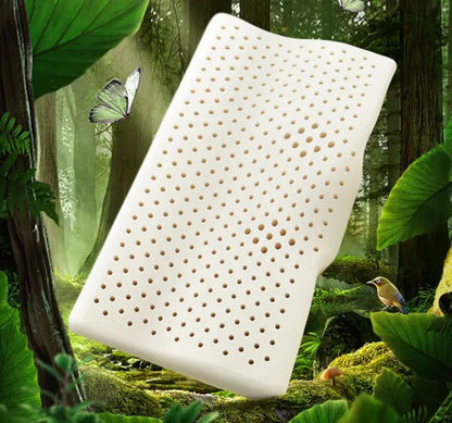 TAIHI Thailand Latex Pillow For Neck Pain Protect Vertebrae Health Care Orthopedic Massage Pillows For Sleeping For Bedroom Ergora