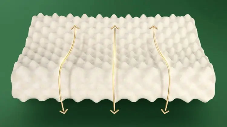 TAIHI Thailand Latex Pillow For Neck Pain Protect Vertebrae Health Care Orthopedic Massage Pillows For Sleeping For Bedroom Ergora